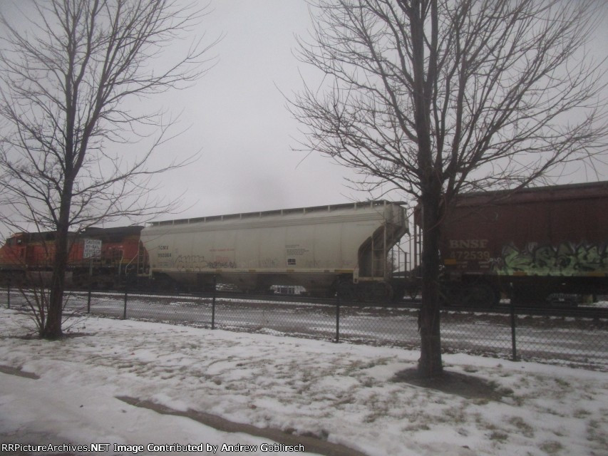 TCMX 350364